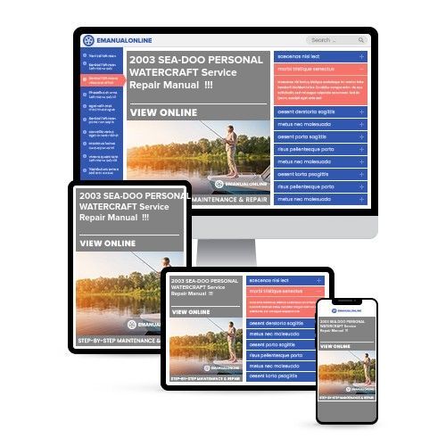 2003 SEA-DOO PERSONAL WATERCRAFT Service Repair Manual  !!! - Online Manuals by eManualOnline