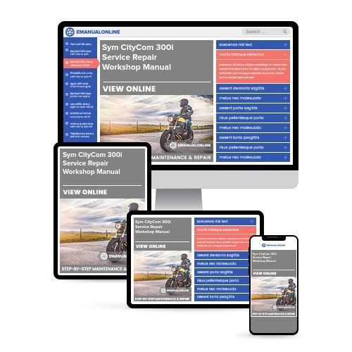 Sym CityCom 300i Service Repair Workshop Manual  