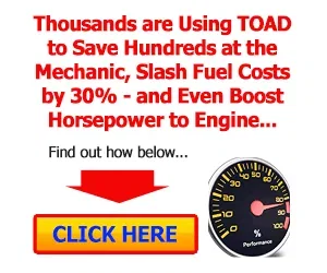 TOAD