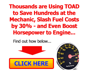 TOAD